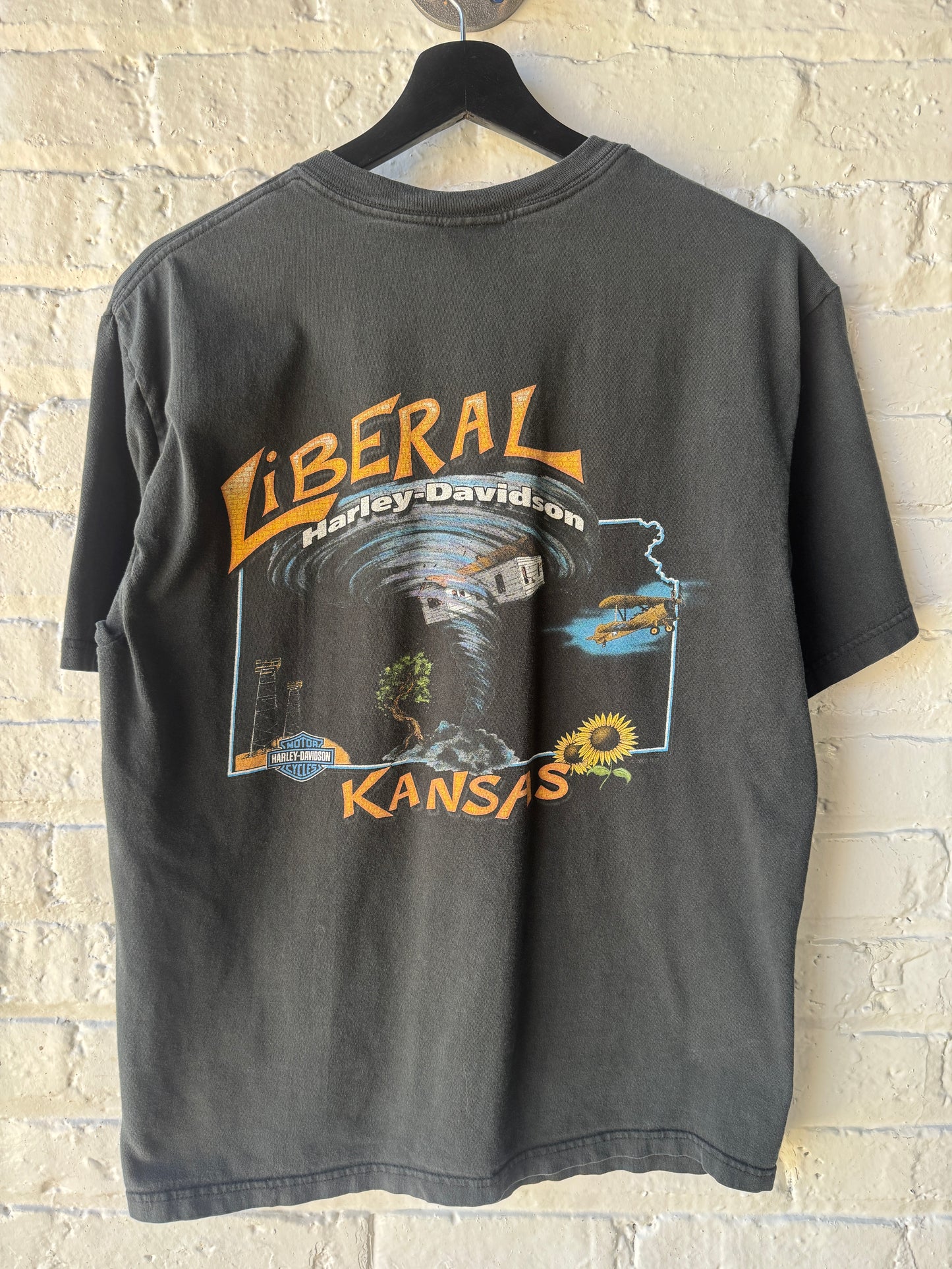 Vintage Harley Davidson Pumping Iron Shirt Size Medium