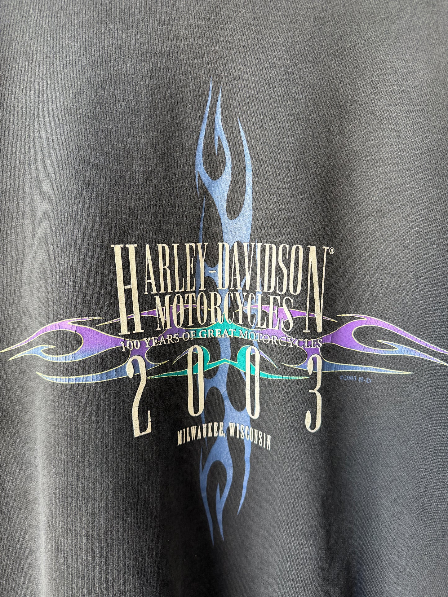 Vintage 2003 Harley Davidson Crewneck Size Large